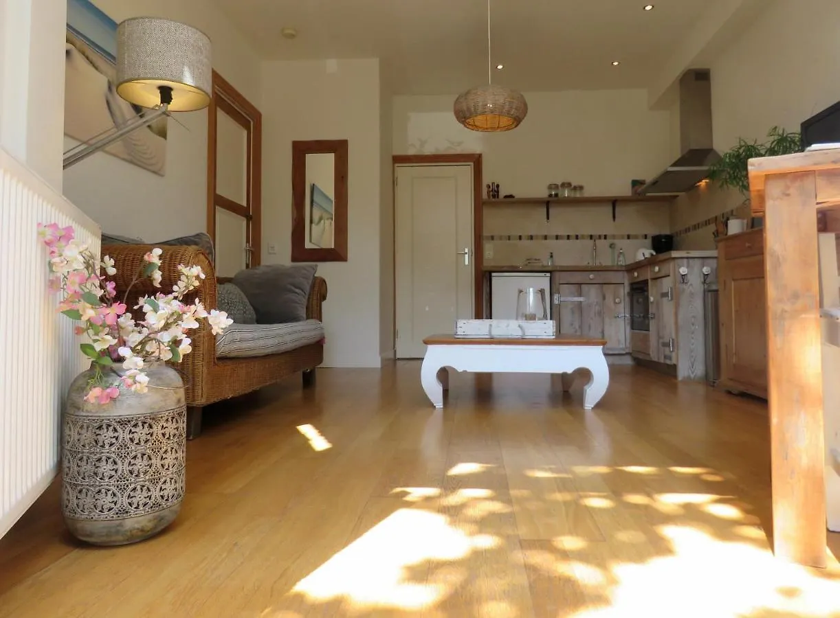 Appartement Casa Duna Oceans Terrace And Ocean Spray Garden Close To The Beach And City Centre Zandvoort